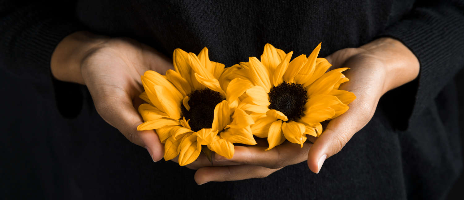 mãos segurando lindas flores amarelas