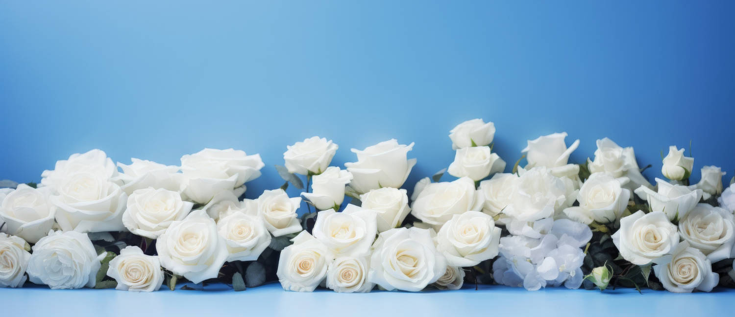 flores brancas sobre uma
              parede azul